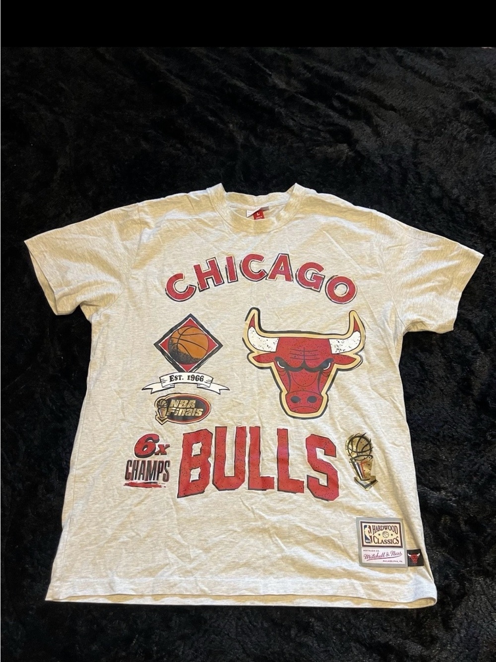 LARGE Men Mitchell & Ness Chicago Bulls Gray Red Graphic Tee